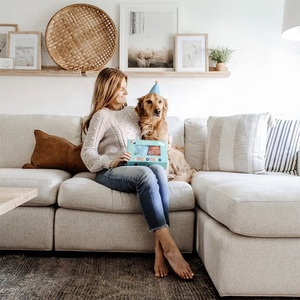 Mutlu doğum günü interaktif hediye Donut gıcırtılı oyuncaklar köpek doğum günü peluş Donut kek kemik sütlü çay - Product Image 5