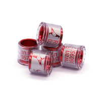 Bracelets de pied de Pigeon de course personnalisés, anneaux de Pigeon, drapeau avec nom coloré, téléphone, numéro de série, produits de course de Pigeon, japon