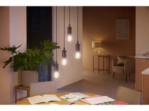 Ampoule <span class=keywords><strong>LED</strong></span> intelligente <span class=keywords><strong>PHILIPS</strong></span> A60 Edison style industriel rétro, E27, température de couleur variable, verre, HomeKit GardenHUE - Product Image 2