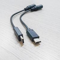 Câble de connexion audio microphone Type-C vers TRRS femelle