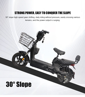 Scooter Électrique de Tourisme Haute Vitesse 350W 48V 12Ah avec Moteur Moyeu, Stock Entrepôt Outre-Mer