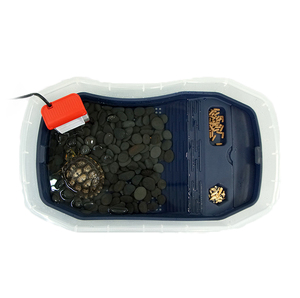 Solid Pattern <strong>Plastic</strong> Turtle <strong>Terrarium</strong> Tank for Reptiles - Product Image 2