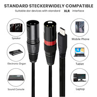 Cable Adaptador USB C a Doble XLR Macho con Blindaje Trenzado y Revestimiento de PVC de 1m de Longitud para Smartphones/Laptops