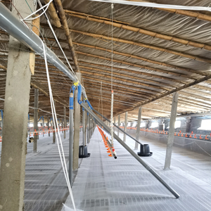 Alimentation en acier galvanisé de qualité supérieure pour élevage de volaille - Product Image 5