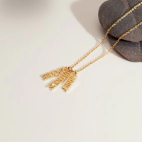 Collier en Chaîne de Corde en Acier Inoxydable EMANCO, Style Classique, Pendentif Personnalisé avec Nom, Bijoux Casual à la Mode, Plaqué Or 14K