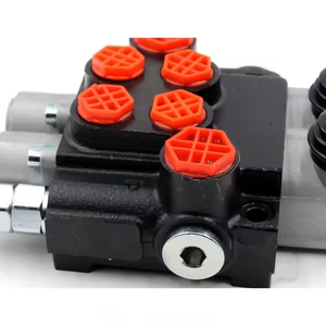 Válvula de Control Direccional Hidráulica Manual P40-G12-G38 |   Servicios de Fabricación Personalizada, OEM y de Marca Privada - Product Image 5