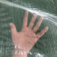 Sac en Polypropylène Transparent en Rafia 25 kg 50 kg Tissé pour l'Emballage de Chaussures et Vêtements Usagés