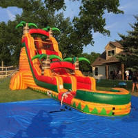 Toboggan aquatique commercial personnalisé en usine toboggan gonflable bon marché de taille de fête avec piscine pour adulte