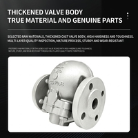 Piège à vapeur à flotteur à levier FT44H, drainage continu, zéro fuite de vapeur, haute efficacité énergétique