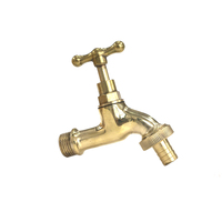 Robinet de jardin en laiton de zinc doré avec bec et adaptateur