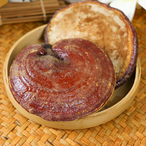 Linh Chi Linh Chi Toàn Bộ Khô Linh Chi Linh Chi Đỏ Linh Chi <span class=keywords><strong>Lucidum</strong></span> - Product Image 3