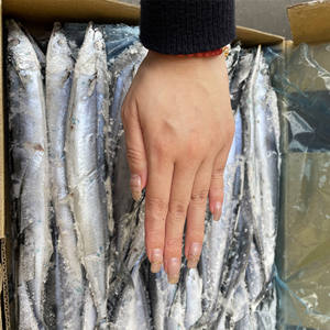 Un fournisseur de produits de la mer exporte <span class=keywords><strong>du</strong></span> poisson frais de mer congelé en vrac poisson Saury <span class=keywords><strong>du</strong></span> Pacifique pour le marché alimentaire africain - Product Image 2