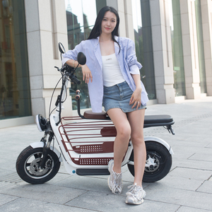 <span class=keywords><strong>Vélo</strong></span> pliable pour animaux de compagnie 500w 3 <span class=keywords><strong>places</strong></span> Scooter électrique de transport Scooter électrique pour adultes - Product Image 6