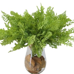Listo <span class=keywords><strong>para</strong></span> Enviar: Ramo <span class=keywords><strong>de</strong></span> Hojas <span class=keywords><strong>de</strong></span> Helecho Artificiales Realistas <span class=keywords><strong>de</strong></span> Alta Gama, Tallos <span class=keywords><strong>de</strong></span> Helecho Falsos <span class=keywords><strong>para</strong></span> Diseño Floral y Decoración del Hogar - Product Image 5