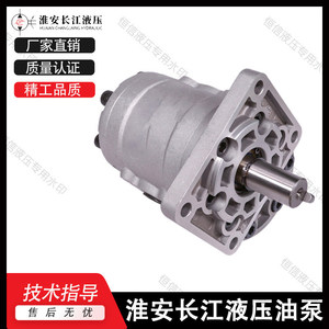 Pompe à engrenages Changjiang CBS-D304, pompe à huile hydraulique de type rotatif en fonte, entraînement électrique - Product Image 3