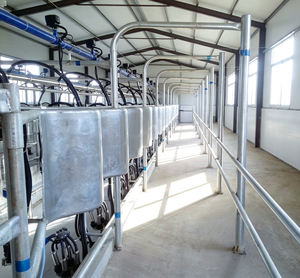 Macchina per la Mungitura a Montaggio Centrale: Protegge la Salute delle Mucche da Latte, Migliora la Qualità del Latte, Garantisce la Purezza e la Sicurezza del Latte Grezzo dalla Fonte - Product Image 4
