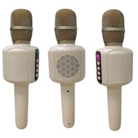 Micro et haut-parleur karaoké Bluetooth 5W 2-en-1 sans fil portable avec écho, connexion au téléphone et chant instantané, idéal pour le divertissement à domicile