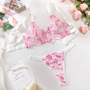 Großhandel Damen Spitze BH Tanga Set Stickerei Zweiteilige Unterwäsche Damen Sexy Dessous Set Neues Design Damen Unterwäsche - Product Image 5