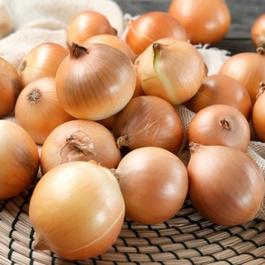 Bulbes d'oignons blancs pelés frais de l'usine du Shandong Bon marché Oignons frais sans peau de haute qualité - Product Image 2