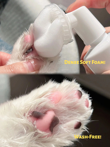 100% प्राकृतिक कार्बनिक वाटरलेस नो-कुल्ला सूखे शैम्पू पालतू कुत्ते के लिए सिलिकॉन ब्रश के साथ सिलिकॉन ब्रश के साथ - Product Image 3