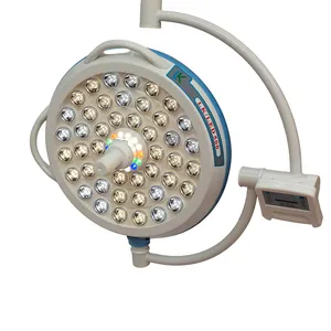 ceiling mounted Medical Led 700/500 Operation Light Shadowless Lamp Head Surgical Operating Lamp Led Operating Room Lights