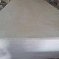 Fabricant de contreplaqué Shandong Linyi marine/meubles en contreplaqué imperméable/contreplaqué de bouleau 3mm/18mm