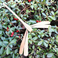 Libellule en bambou poli à peindre soi-même, jouet éducatif en bois naturel, décoration de Noël, thème animal, nostalgique