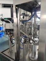 Machine de remplissage et de bouchage électrique SUS304 pour sachets à bec verseur, pour emballage alimentaire et chimique, machine à sachets verticaux économe en énergie