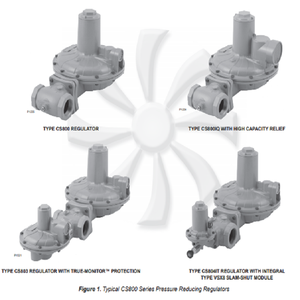 ชุดควบคุมแรงดันแก๊สแบบลดแรงดัน รุ่น CS200 CS400 CS800 สำหรับแพ็คเกจแบบ Skid Mount - Product Image 3