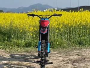 Moto tout-terrain électrique BSE Ez-1 60v30ah, vitesse de 75 km/h pour terrains accidentés et VTT, 5500w - Product Image 3