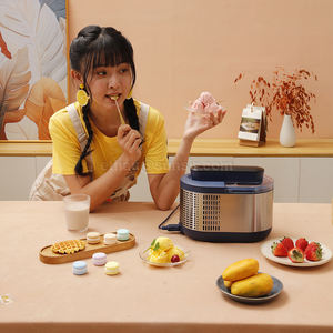 Produttore diretto, 90W, 0.6 litro, per gelatiera veloce fatta in casa vicino a Me - Product Image 2