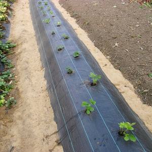 Tissé PP <span class=keywords><strong>tissu</strong></span> de contrôle des mauvaises herbes jardin contrôle des mauvaises herbes serre couverture du sol paysage <span class=keywords><strong>tissu</strong></span> noir PP tissé <span class=keywords><strong>géotextile</strong></span> - Product Image 3