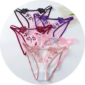 Popular Sexy Girls Panties Brief Lace Sexy See Through Lingerie for Women