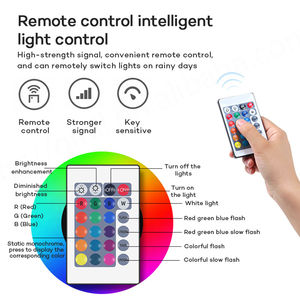 Reflectores portátiles Rgb Reflector Rgb de 50 vatios - Product Image 6