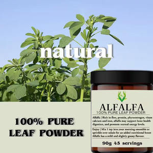 ผงใบอัลฟัลฟ่าบริสุทธิ์ 100% แบรนด์ส่วนตัว ช่วยปรับปรุงระบบย่อยอาหาร ควบคุมพลังงาน อาหารเสริมสมุนไพรสำหรับผู้ใหญ่ เพื่อสุขภาพ - Product Image 2