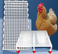 Las granjas de patos usan pisos de plástico para pollos, patos y gansos