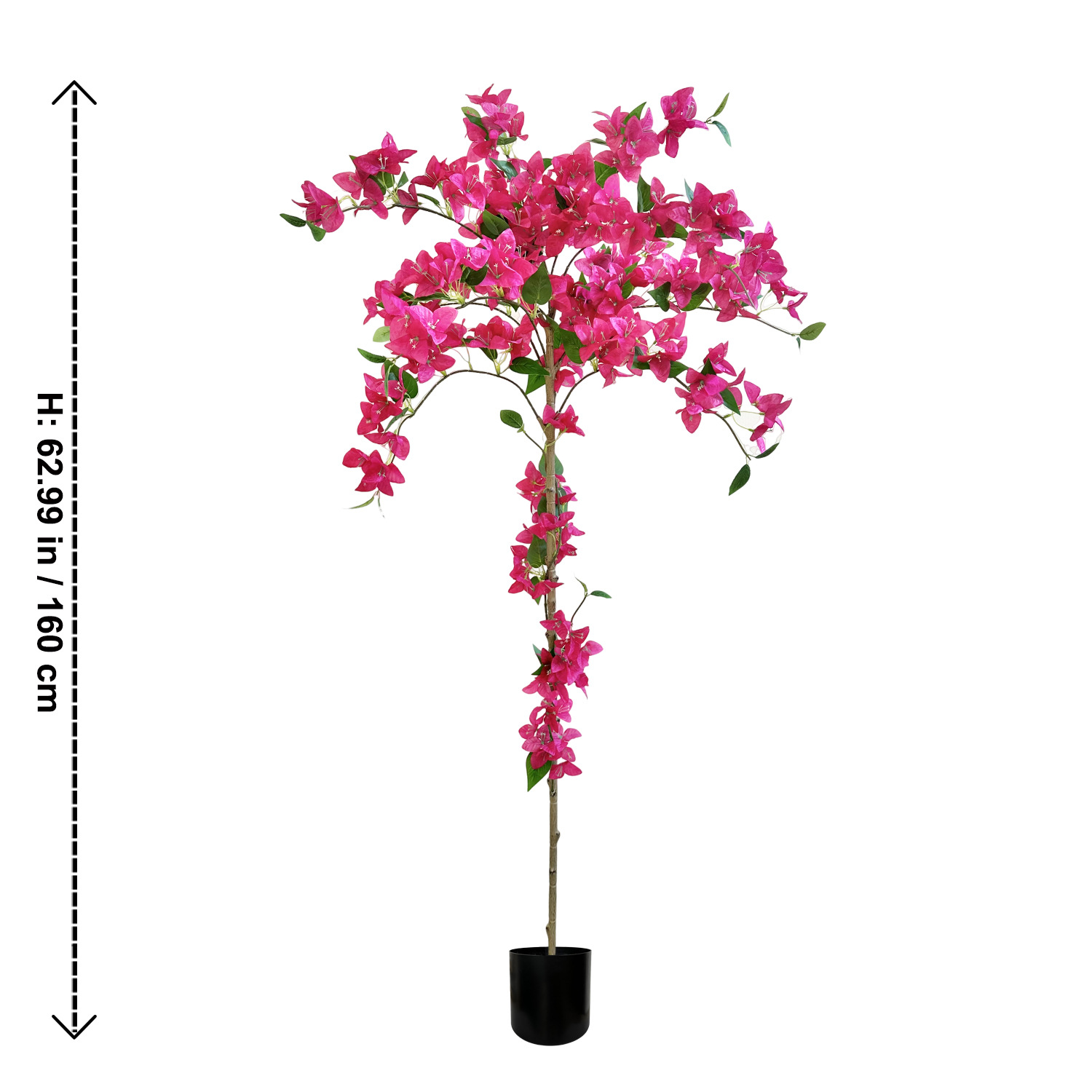 Bougainvillier rose enroulé de 1,6 m
