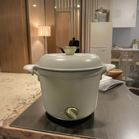 Panci Listrik Mini Anti Lengket untuk Memasak Cepat, Penggunaan Rumah Tangga, Kapasitas 1.5L, Kontrol Mekanis, Multifungsi, Mie Instan 900W