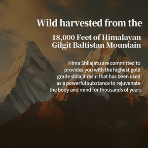 OEM Private Label Himalayan Shilajit resina pura 500mg di acido fulvico minerali magnesio zinco energia Boost integratore - Product Image 2