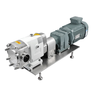 ปั๊มโรตารี่โลบสแตนเลส 316L แบบ 2 ทิศทาง พร้อมซีลแบบกลไก รับแรงดัน 15 บาร์  OEM ปรับแต่งได้ - Product Image 1