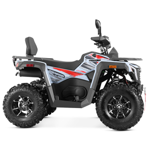 Quad ATV Tao Motor 2026, nouveau modèle homologué EEC T3B, 4x2, automatique, transmission par chaîne, adulte, 250cc, avec CE EPA - Product Image 4