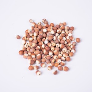 Sémences de nénuphar épineux brutes en vrac, sémences de nénuphar épineux pour l'alimentation - Product Image 2