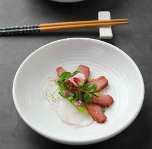 Vaisselle en porcelaine écologique en gros, assiettes à sashimi, bols peu profonds, bols à collation, salade, nouilles, dessert, sans BPA, qualité alimentaire - Product Image 2