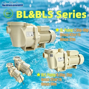 Bomba para Piscina Pequeña PENTAIR EMAUX de 0.75hp, Bomba para Spa Doméstico, Funcionamiento Continuo de 24 Horas, Bomba Centrífuga de Doble Voltaje 110V/220V - Product Image 6