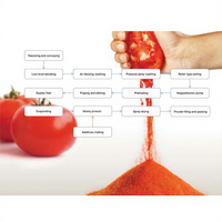 Fabrieksmatig aangepaste, zuinige, hoog-efficiënte, goedkope tomatenpoederproductielijn, 1~60 ton per uur.