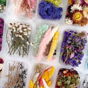 En vrac <span class=keywords><strong>pas</strong></span> <span class=keywords><strong>cher</strong></span> feuille eucalyptus rose <span class=keywords><strong>fleurs</strong></span> séchées bricolage bougie faisant boîte multi-forme jour de la terre de pâques - Product Image 3