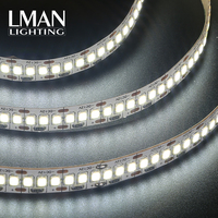 Nouvelle Arrivée Bande LED Extérieure/Intérieure Étanche Colorée DC 12V/24V 240 LED/m SMD2835 CRI 98 Durée de Vie 50 000 Heures Facile à Installer