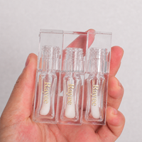 STOCK NO MOQ PETG Tubes cosmétiques vides entièrement transparents en plastique de 6 ml pour gloss et blush, avec bouchon à vis de 20 mm de diamètre et grand pinceau