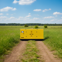 Générateur diesel Weichai à bas prix 80 kW 100 kVA, alternateur sans balais 100 % cuivre, silencieux, générateur diesel industriel pour maison