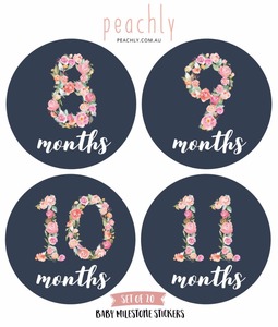 Usine Fournir Directement Floral Bébé Mensuel Jalon Autocollants (<span class=keywords><strong>Lot</strong></span> de 20) -de la <span class=keywords><strong>naissance</strong></span> à 12 Mois - Product Image 6